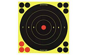 Birchwood Casey Shoot-N-C 8” Bullseye Targets