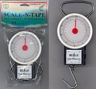 FJN Scale N Tape 50lb Capacity Fish Scale