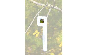 WRC Scent Wick Key Wick Magnum 2pk