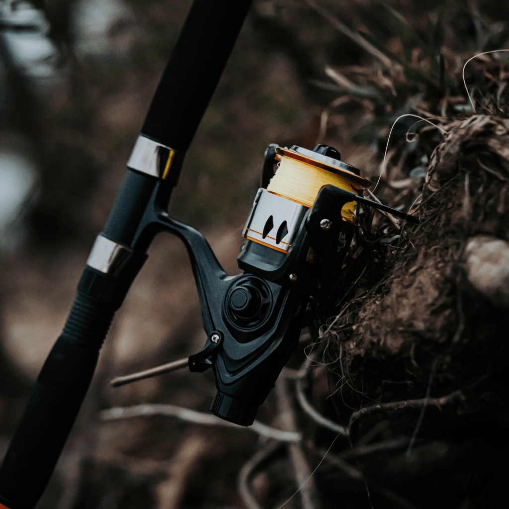 Catfish Pro 600STS Spinning Reel