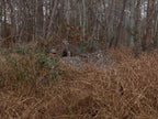 Double Up System - Mossy Oak Country Roots 3D Leafy