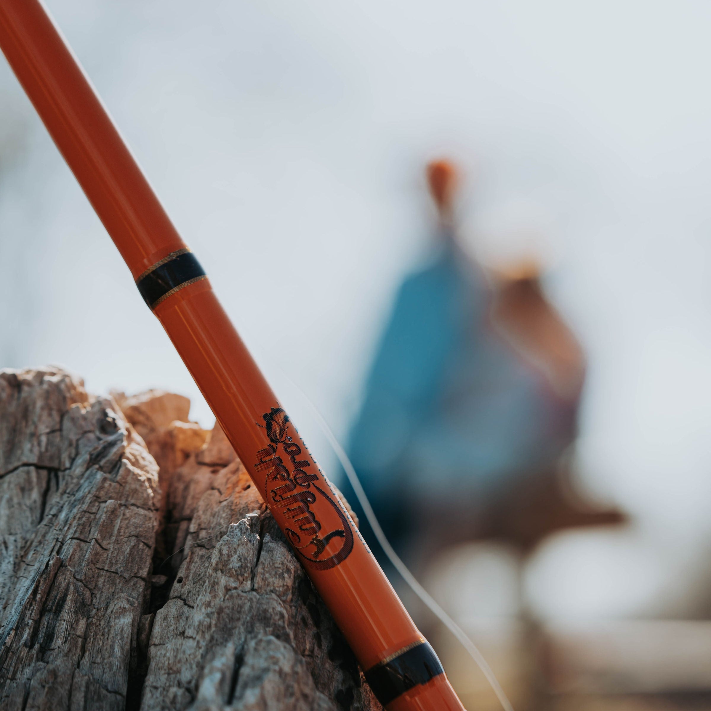 Catfish Pro Fishing For Fun Spinning Rod