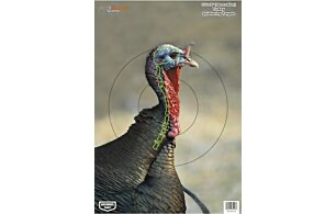 B/C Target PREGAME 12"x18" Turkey Targets 8pk