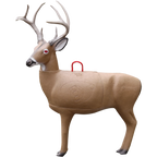 Morrell Transformer Buck