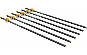 Ravin R500 Series Crossbow Bolts