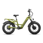 Revolt AWD Step Thru Bike