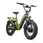 Revolt AWD Step Thru Bike