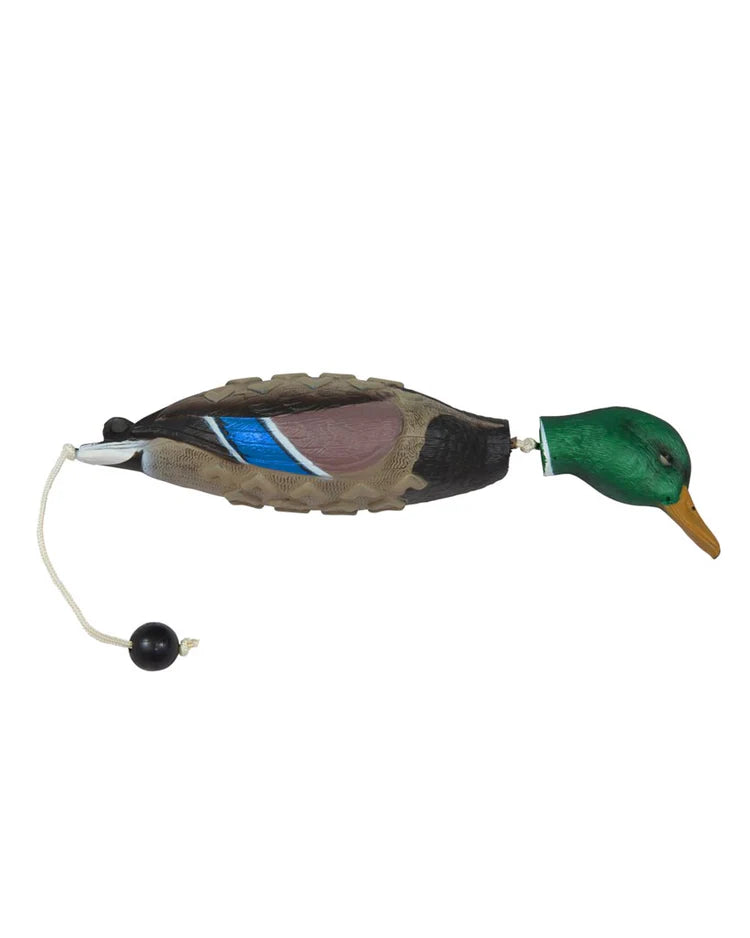 ASD EZ Bird