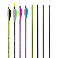 Easton Genesis Arrows