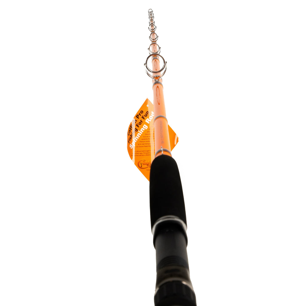 Catfish Pro Fishing For Fun Spinning Rod