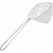 Minnow Dip Net