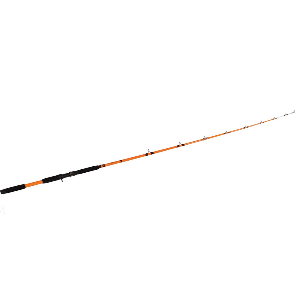 Catfish Pro Tournament Series Casting Rod
